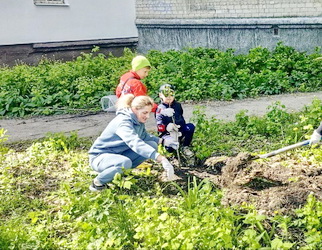 Елена Злобнова помогла жителям озеленить двор