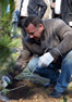 Глава Саратова принял участие в высадке деревьев на субботнике